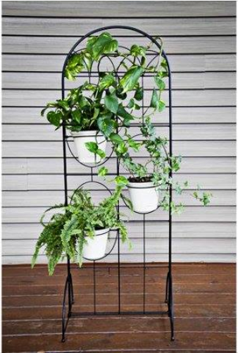 Deals Finders Lowe S Garden Accents Arched Trellis With