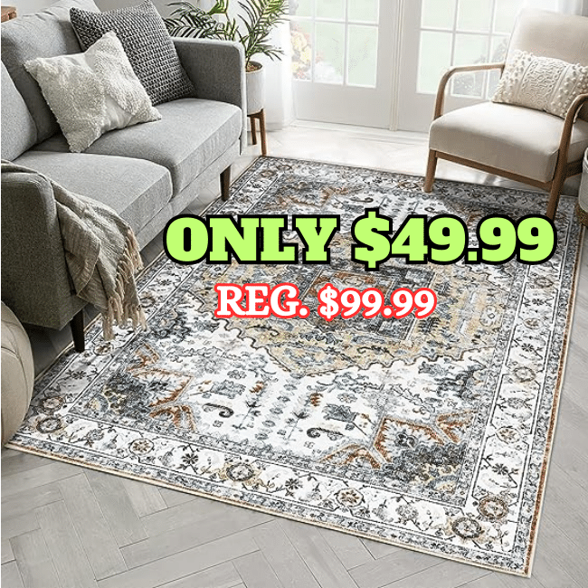 5x7 Area Rugs-Stain Resistant Washable Rugs - Deals Finders